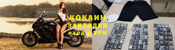 сатива Баксан