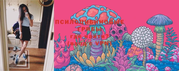 первитин Белоозёрский