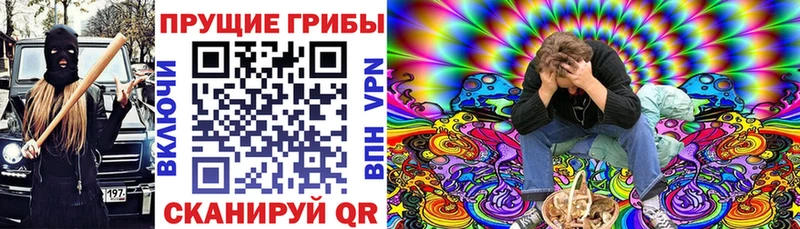 Галлюциногенные грибы Psilocybe  закладки  Вязники 
